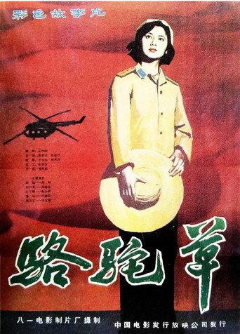 Camel Grass (1983) poster