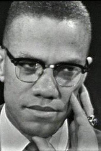 The Negro and the American Promise (1963) poster