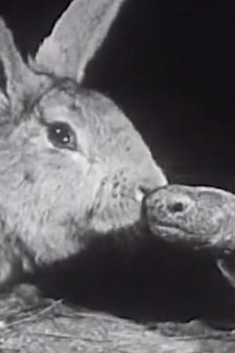 The Hare and the Tortoise (1947) poster
