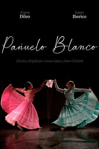 Pañuelo blanco (2024) poster