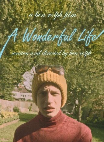 A Wonderful Life () poster