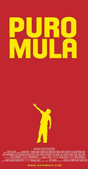 Puro Mula (2011) poster