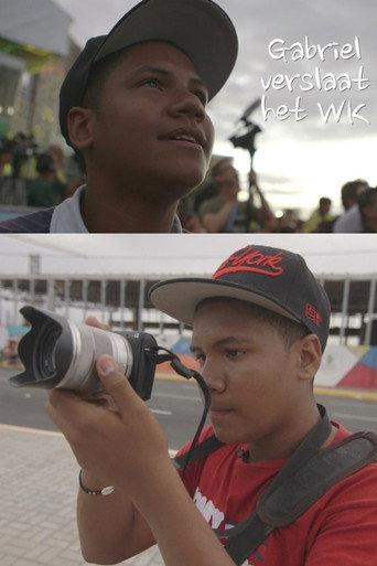 Gabriel Reports on the World Cup (2014) poster