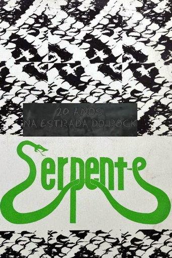 20 Anos na Estrada do Rock (2005) poster