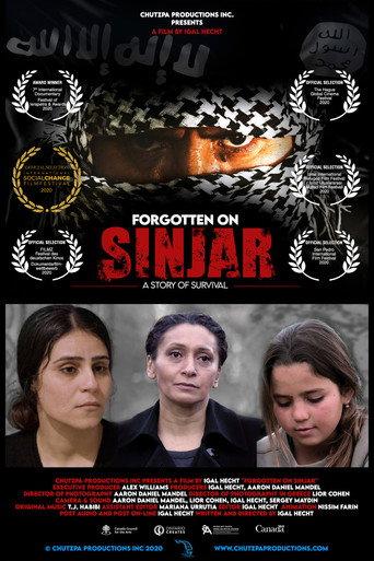 Forgotten on Sinjar (2020) poster