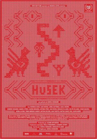 Husek (2021) poster