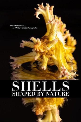 Shells: Shaped by Nature (2025) poster