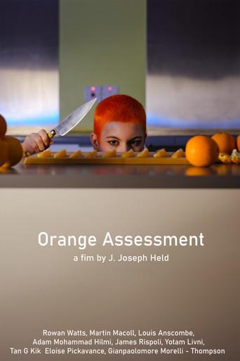 Orange  Assessment () poster