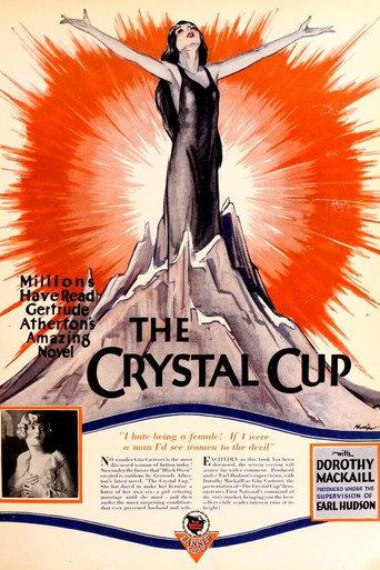 The Crystal Cup (1927) poster