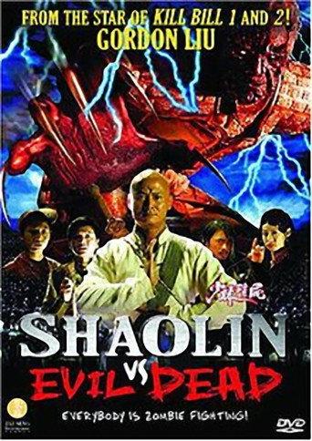 Shaolin vs. Evil Dead (2004) poster