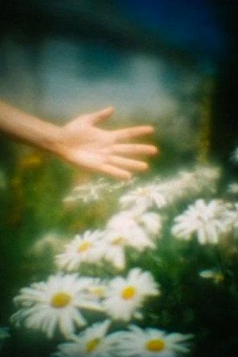 Camera Obscura (2000) poster
