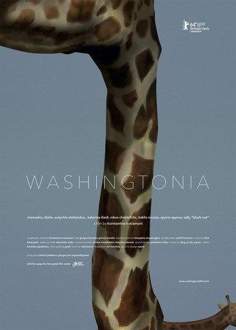Washingtonia (2014) poster