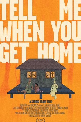Tell Me When You Get Home (2026) poster