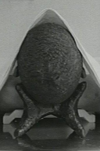 Six Positions (1998) poster