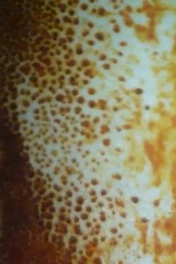 Untitled #1 (sun vision) (2019) poster