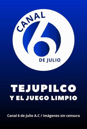 Tejupilco y el juego limpio (1991) poster