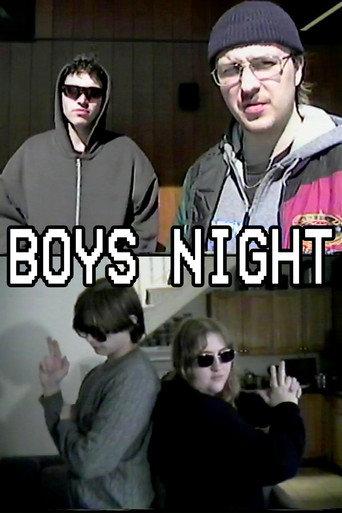 Boys Night () poster