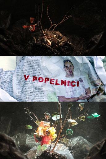 In a Dumpster (2018) poster