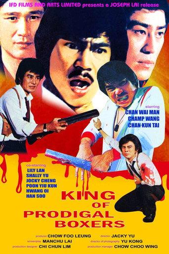 Deadly Duo (1981) poster