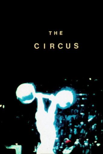 The Circus (1977) poster