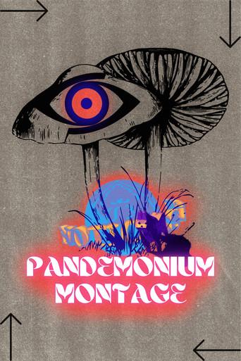 PANDEMONIUM MONTAGE (2025) poster