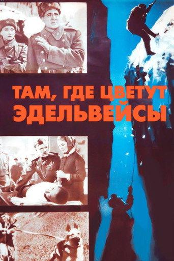 Where the Edelweiss Blooms (1965) poster