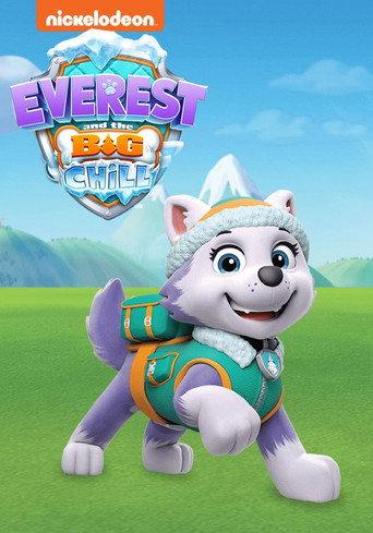 Everest and the Big Chill () poster