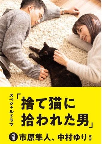 The Man Who Got Picked Up by a Stray Cat (2019) poster