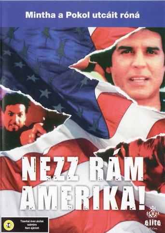 Look at Me, America (1991) poster