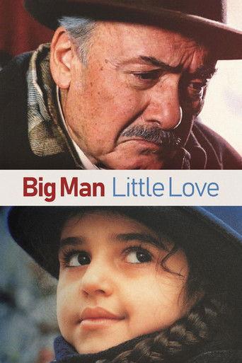 Big Man, Little Love (2001) poster