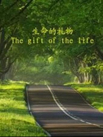 The Gift of the Life (2014) poster