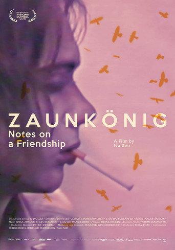 King of the Airs: Notes on a Friendship (2017) poster