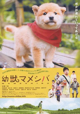 Mameshiba Cubbish Puppy (2009) poster