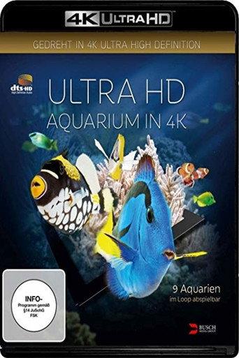 Aquarium (2016) poster