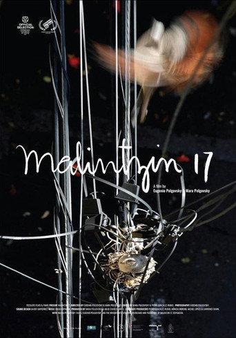 Malintzin 17 (2022) poster