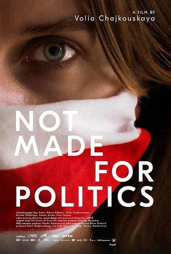 Not Made for Politics (2025) poster