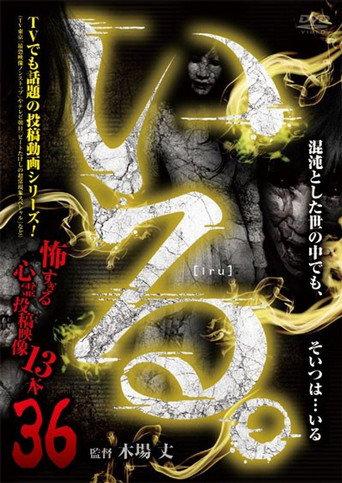 「Iru.」~ Kowasugiru Tōkō Eizō 13-hon ~ Vol.36 (2020) poster