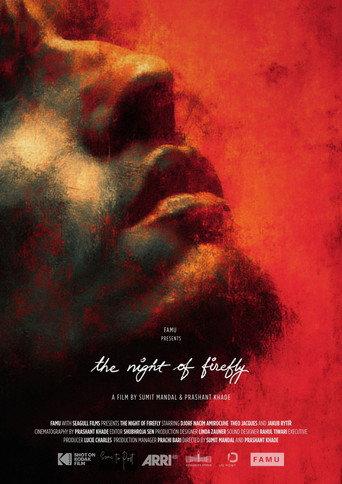 The Night of Firefly (2026) poster