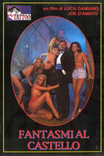 Ghosts in the Castle (1994) poster