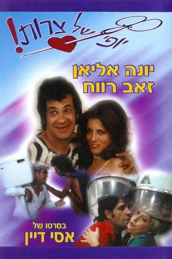 Beautiful Troubles (1976) poster