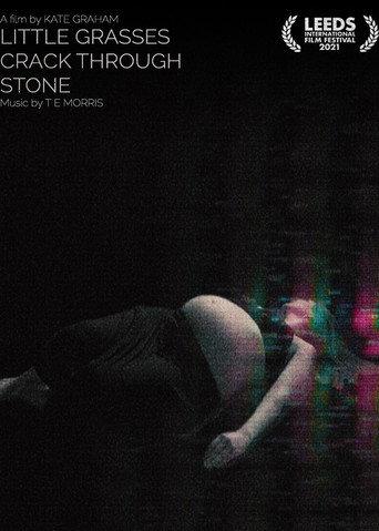 Little Grasses Crack Through Stone (2021) poster