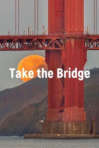Take The Bridge (2008) poster