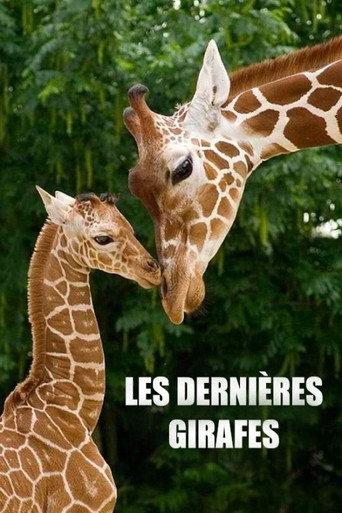 Les Dernières Girafes (2018) poster
