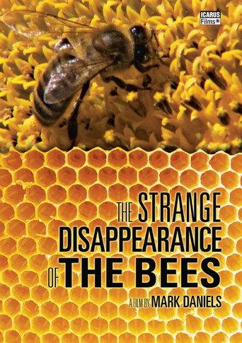 The Mystery of the Disappearing Bees (2010) poster