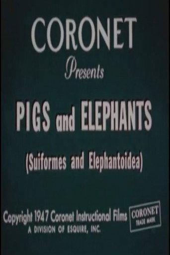 Pigs and Elephants (Suiformes and Elephantoidea) (1947) poster