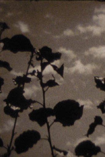 The Season's Change (1960) poster