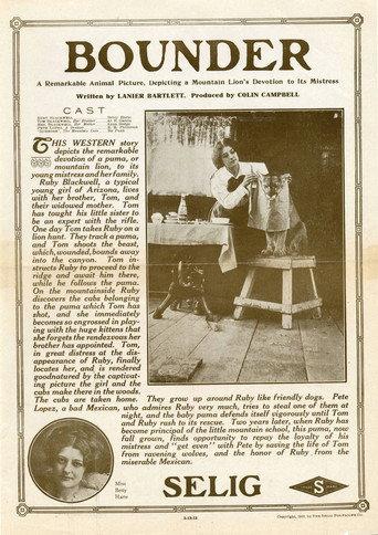 Bounder (1912) poster