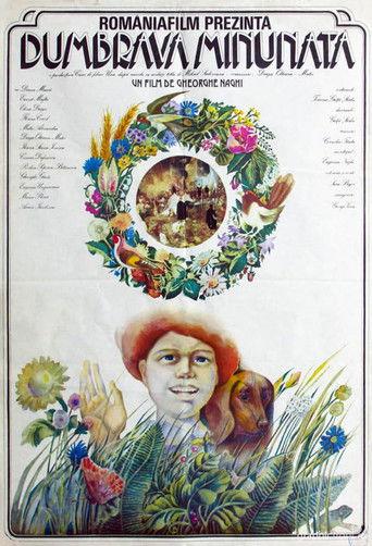 The Enchanted Grove (1980) poster