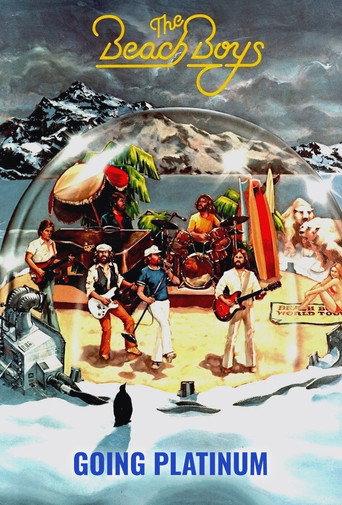 Goin' Platinum Presents The Beach Boys (1980) poster
