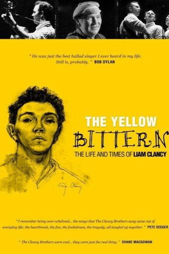 The Yellow Bittern () poster
